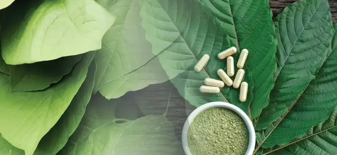 kava-vs-kratom-edited-1 (1)