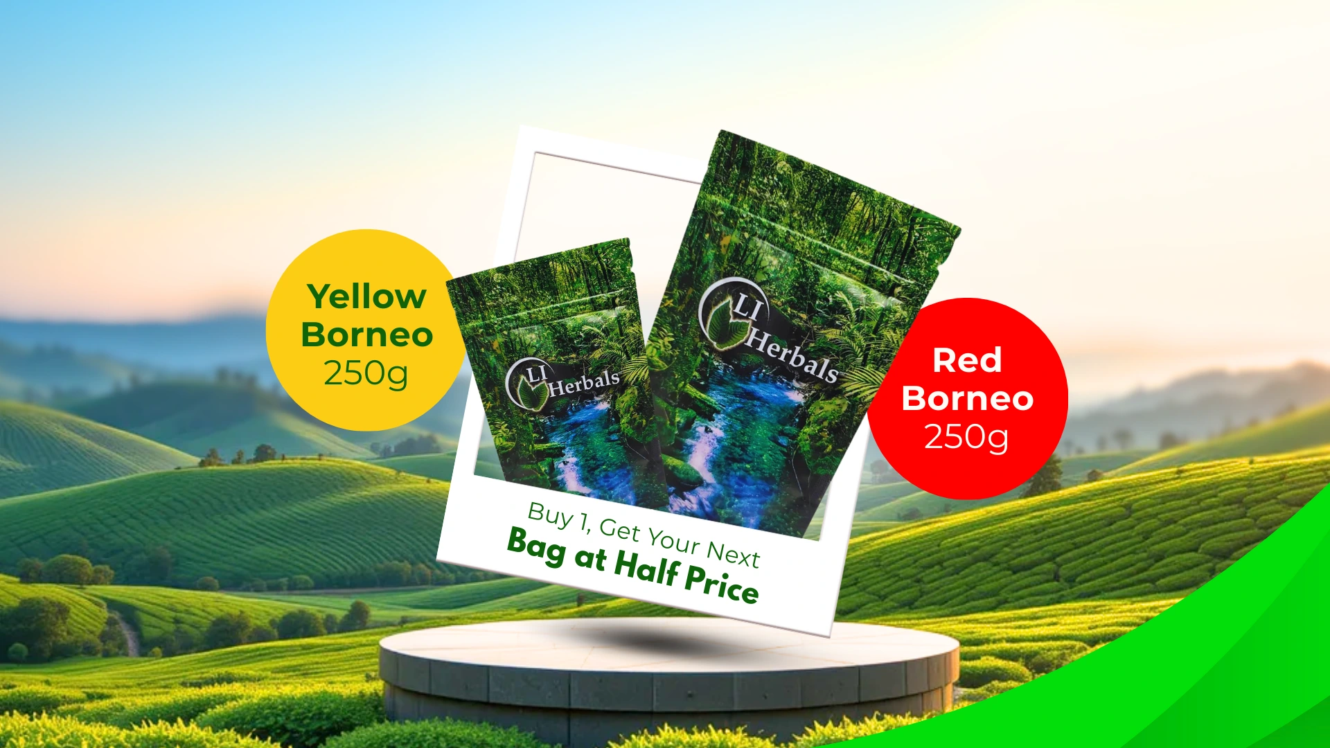 yellow and red borneo1